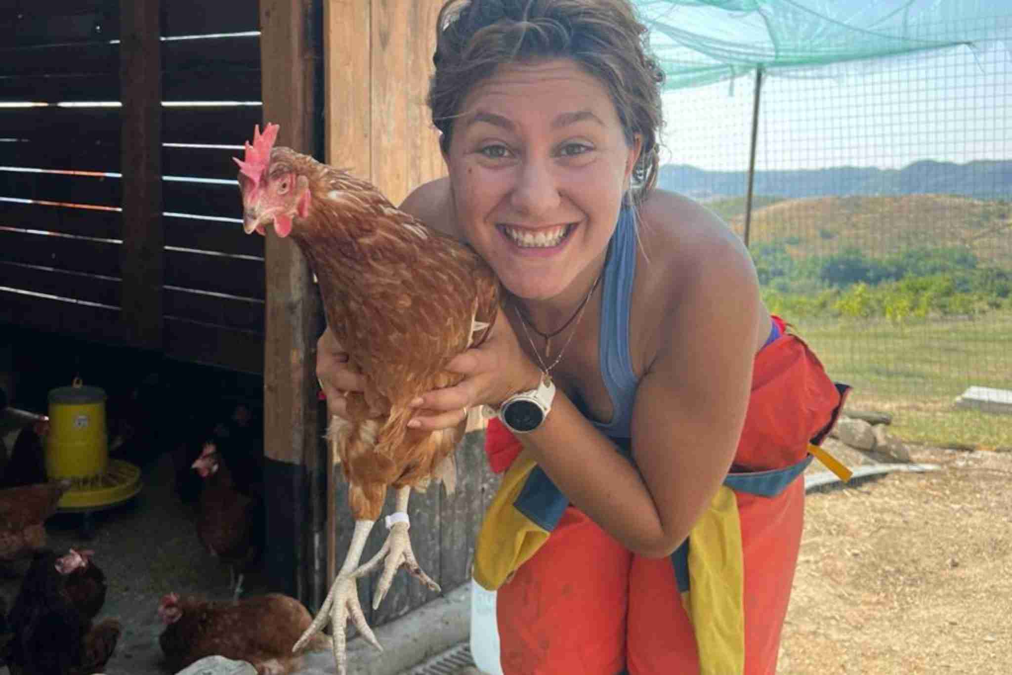 alice-con-gallina